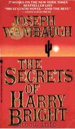 THE SECRETS OF HARRY BRIGHT 1985 PDF电子版封面 0553260219