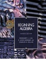 BEGINNING ALGEBRA SEVENTH EDITION（1996 PDF版）