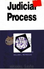 JUDICIAL PROCESS IN A NUTSHELL SECOND EDITION（1991 PDF版）