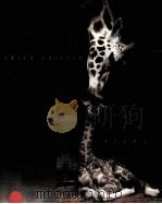 LIFE THIRD EDITION（1998 PDF版）