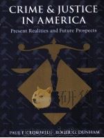 CRIME & JUSTICE IN AMERICA:PRESENT REALITIES AND FUTURE PROSPECTS（1997 PDF版）