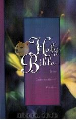 THE HOLY BIBLE 1984 PDF电子版封面