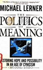POLITICS OF MEANING:RESTORING HOPE AND POSSIBILITY IN AN AGE OF CYNICISM 1996 PDF电子版封面 0201154897 MICHAEL LERNER