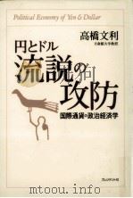 円とドル流説の攻防（1995.10 PDF版）