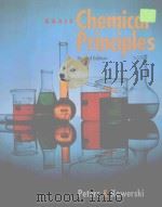 BASIC CHEMICAL PRINCIPLES SECOND EDITION（1994 PDF版）