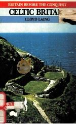 CELTIC BRITAIN（1979 PDF版）