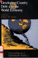 DEVELOPING COUNTRY DEBT AND THE WORLD ECONOMY（1989 PDF版）
