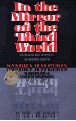 IN THE MIRROR OF THE THIRD WORLD（1997 PDF版）