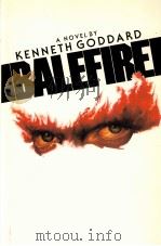 BALEFIRE（1983 PDF版）