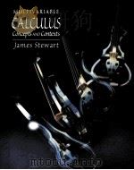 MULTIVARIABLE CALCULUS:CONCEPTS AND CONTEXTS（1998 PDF版）