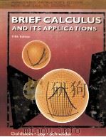 BRIEF CALCULUS AND ITS APPLICATIONS FIFTH EDITION（1990 PDF版）