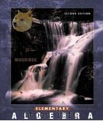 ELEMENTARY ALGEBRA SECOND EDITION（1994 PDF版）