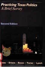 PRACTICING TEXAS POLITICS A BRIEF SURVEY SECOND EDITION（1987 PDF版）