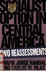 THE SOCIALIST OPTION IN CENTRAL AMERICA:TWO REASSESSMENTS 1993 PDF电子版封面 0853458685 SHAFIK JORGE HANDAL CARLOS M.V