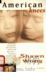 AMERICAN KNEES A NOVEL（1995 PDF版）