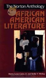 THE NORTON ANTHOLOGY OF AFRICAN AMERICAN LITERATURE（1997 PDF版）
