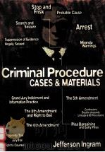 CRIMINAL PROCEDURE CASES & MATERIALS 1995 PDF电子版封面 0870843613 JEFFERSON INGRAM