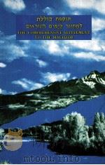THE COMPREHENSIVE SUPPLEMENT TO THE MACHZOR 1972 PDF电子版封面 LEO GINSBURG PH.D.