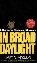 IN BROAD DAYLIGHT 1988 PDF电子版封面 0440205093