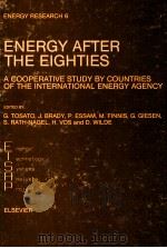 ENERGY RESEARCH 6 ENERGY AFTER THE EIGHTIES A COOPERATIVE STUDY BY COUNTRIES OF THE INTERNATIONAL EN 1984 PDF电子版封面 0444424040