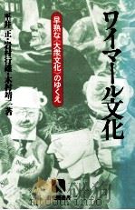 ワイマール文化 1987.04 PDF电子版封面 平井正