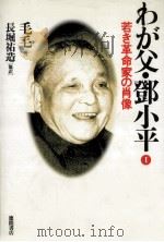 若き革命家の肖像（1994.02 PDF版）