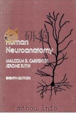 HUMAN NEUROANATOMY 1983 PDF电子版封面 0683014617