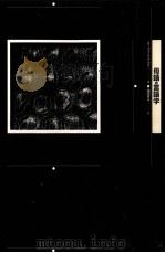 母語の言語学（1994.09 PDF版）