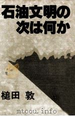 石油文明の次は何か（1981.05 PDF版）