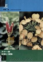 花 1971.04 PDF电子版封面 高橋勇