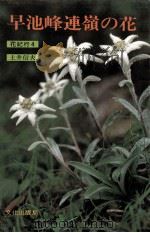 早池峰連嶺の花（1982.06 PDF版）