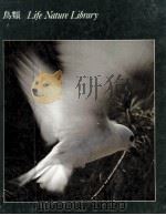 鳥類（1971.01 PDF版）