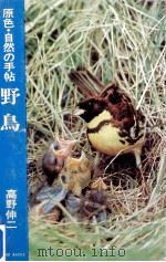 野鳥（1967.04 PDF版）