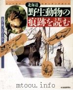 北海道野生動物の痕跡を読む 1994.11 PDF电子版封面 エコ·ネットワーク