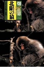 北限の猿（1981.06 PDF版）