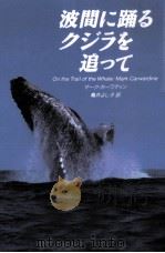 波間に踊るクジラを追って（1997.07 PDF版）