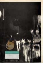 交通計画と技術（1970.12 PDF版）