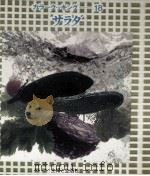 サラダ（1977.03 PDF版）