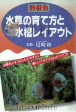 熱帯魚·水草の育て方と水槽レイアウト（1992.12 PDF版）