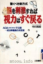 脳を刺激すれば視力はすぐ戻る（1994.04 PDF版）