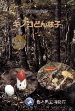 キノコどんな子（1992.04 PDF版）