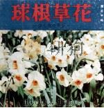 球根草花（1959.10 PDF版）