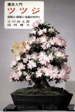 ツツジ 1978.05 PDF电子版封面 小川由太郎