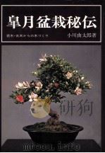皐月盆栽秘伝（1975.12 PDF版）