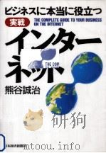 ビジネスに本当に役立つ実戦インターネット（1996.04 PDF版）