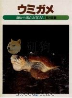 ウミガメ（1984.07 PDF版）
