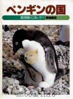 ペンギンの国 1984.12 PDF电子版封面 青柳昌宏