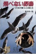 飛べない野鳥:つり糸で傷ついた鳥たち（1987.05 PDF版）