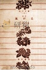 嵐が丘.改訳版（1963.12 PDF版）