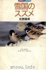 雪国のスズメ（1991.04 PDF版）